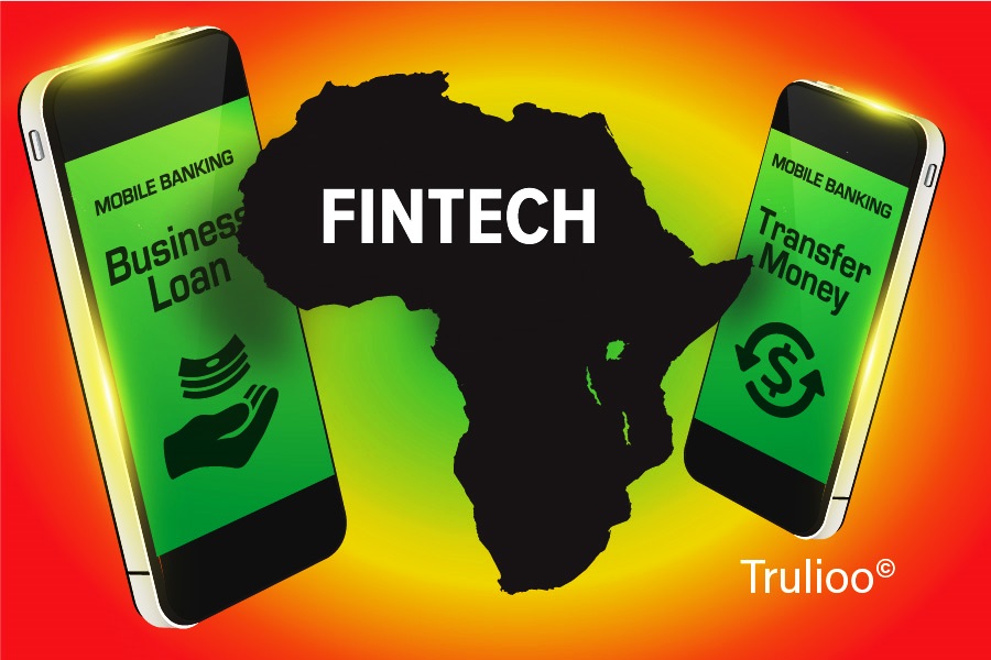 Fintech .Image by Trulioo